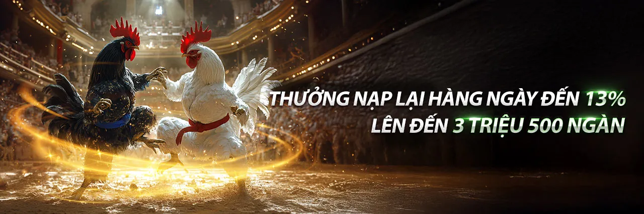 Đá gà trực tuyến bacty88